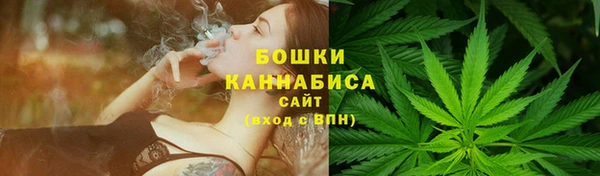 тгк Бородино