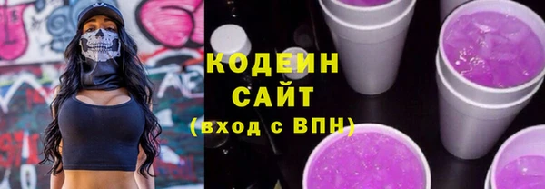 тгк Бородино