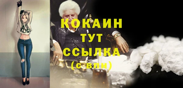 тгк Бородино