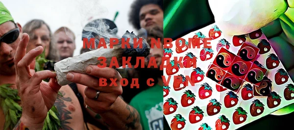 тгк Бородино