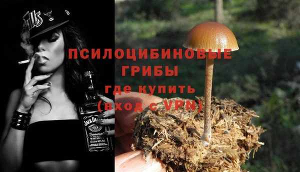 бошки Бугульма