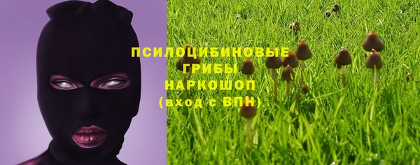 тгк Бородино