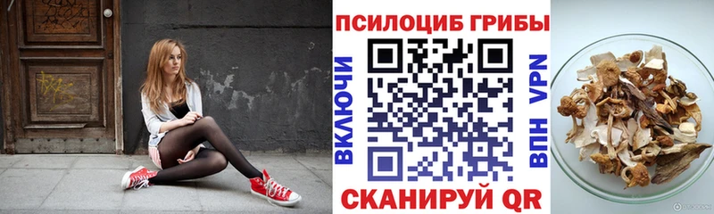 Псилоцибиновые грибы Psilocybe  даркнет сайт  Санкт-Петербург 